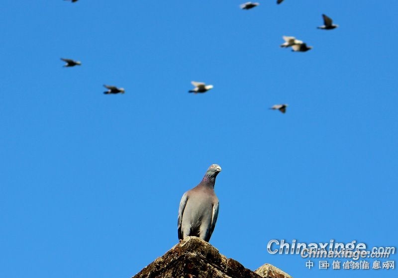 �������Լ�������