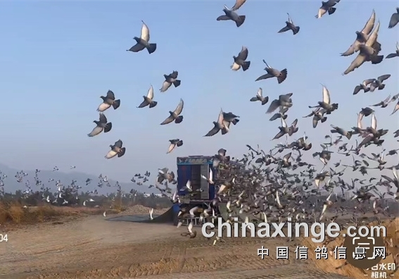 Ԥ�������͵Ⱦ��� �㶫�����������Ȼ�