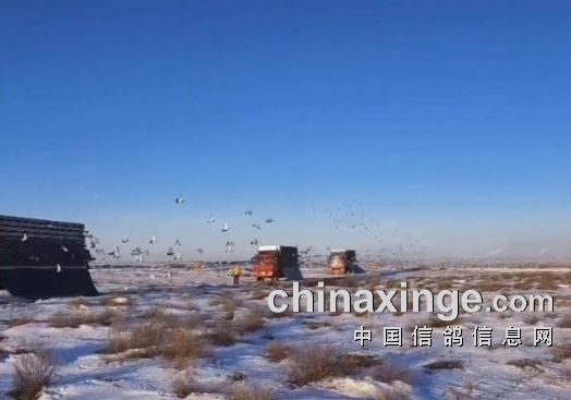 ѩ���з��� ����һ�����շ�վ����