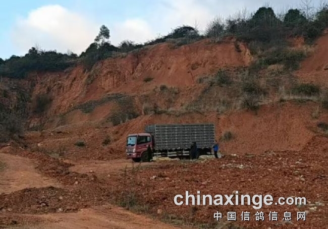 �����ݱ� ����һ����ѵ�Ŵ��߷���