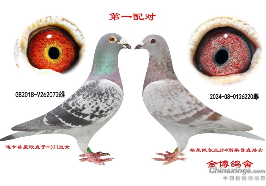 ����������� �ڴ��������ӣ�