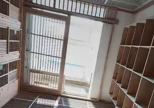 ��������ڹ�������α����۸��ܣ�