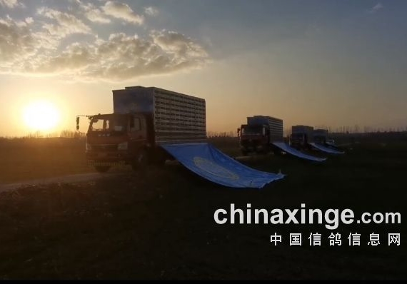 ����ѵ��ǰ ��Щ׼����������