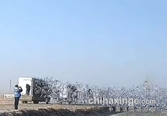 1.3������ ɽ�����ɹ����շ�վ����