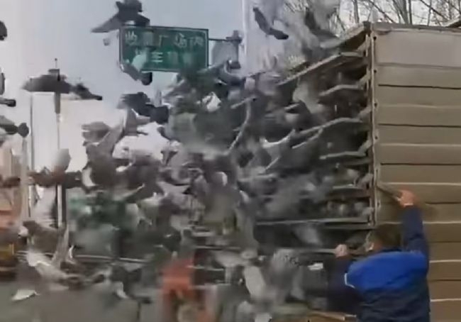 Ԫ������Ȥ���ӱ�һ�����������ֵǳ�