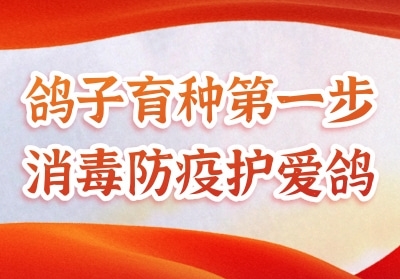 �������ֵ�һ�� ���������뱣��