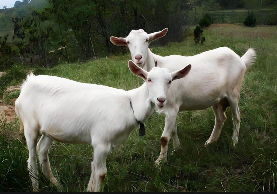 ���������������ù��Ǿ����������̾��������㲻��