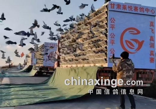 ���վ��٣������������빫���շ�վ����