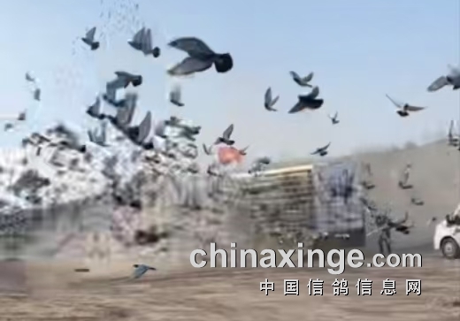 ��������� �������������ʸ�����ǹ