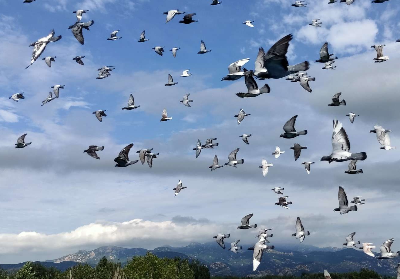 �ŷ�4.5���� ̨���Ϻ��ʸ������ųɹ�