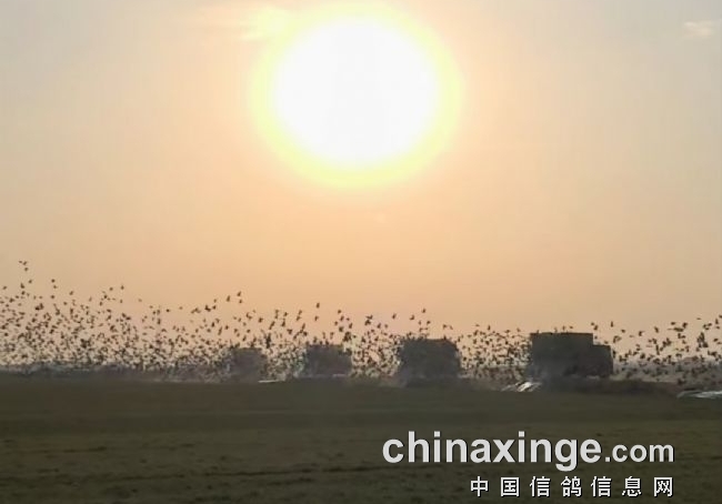 ����µľ��� ɽ��������3�����Ÿ����