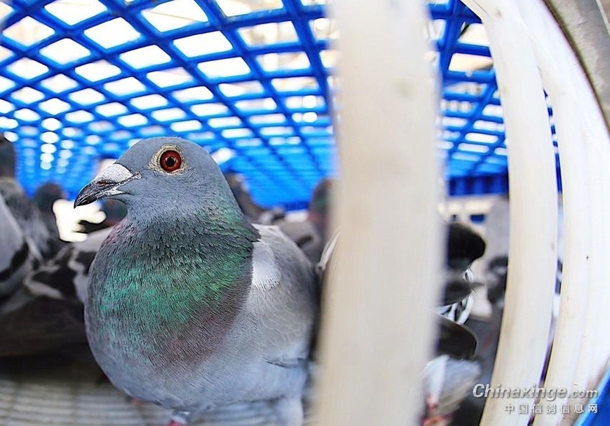 ������������ ���顢�������ǻ�