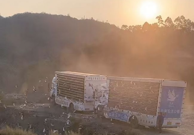 ���ҹ��������� ���ϴ��������ʣ�