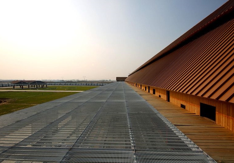 ����ȫ������ ������ʦ������ͣ�����