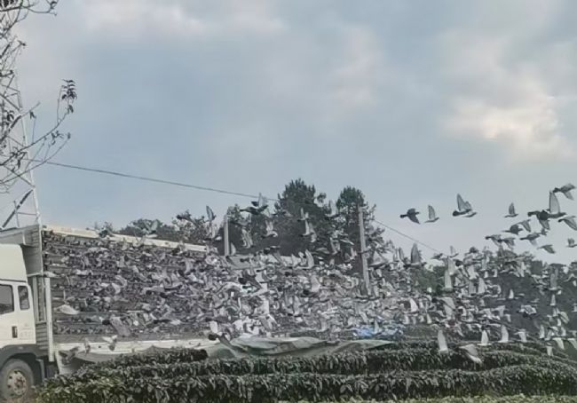 ���������棡��Ϫ���������׹ؿ���