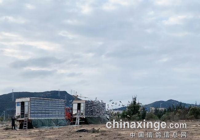 ��������㶫��������׹���ǹ����