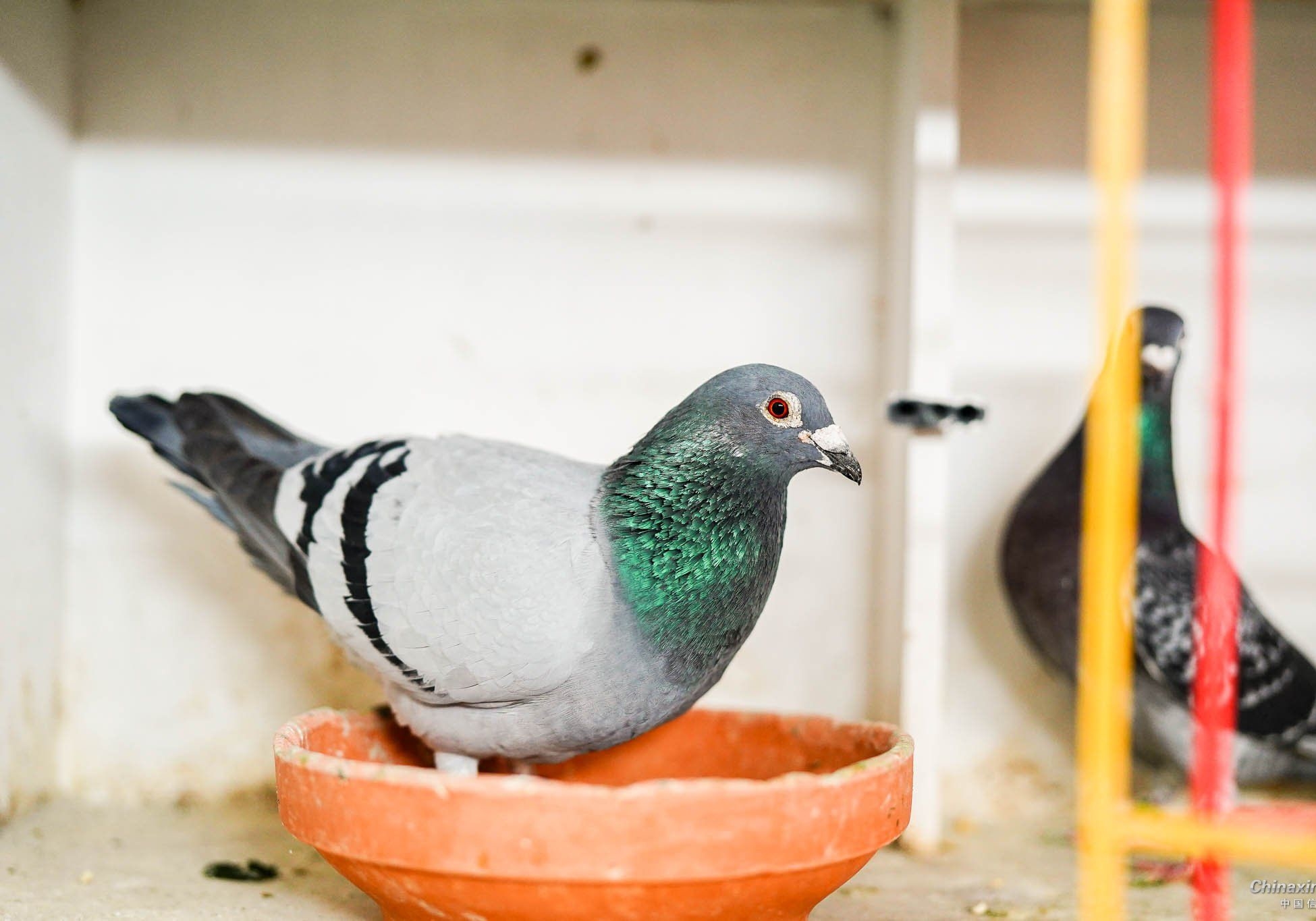 ��ѵ���� ���ӵ�һ��ˮ����ȷ�򿪷�ʽ��