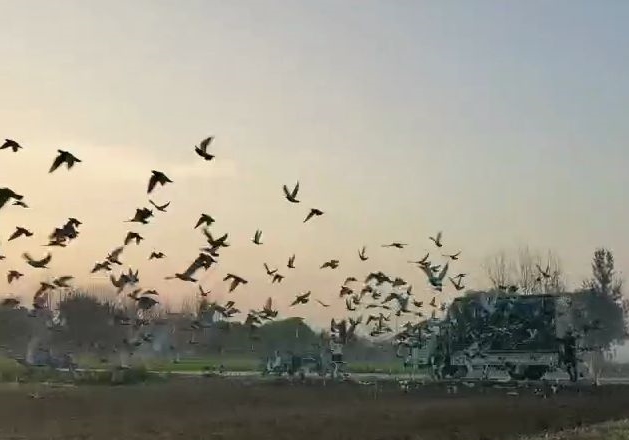 ���������� ������Ҿ��ֲ��̾��뿪��