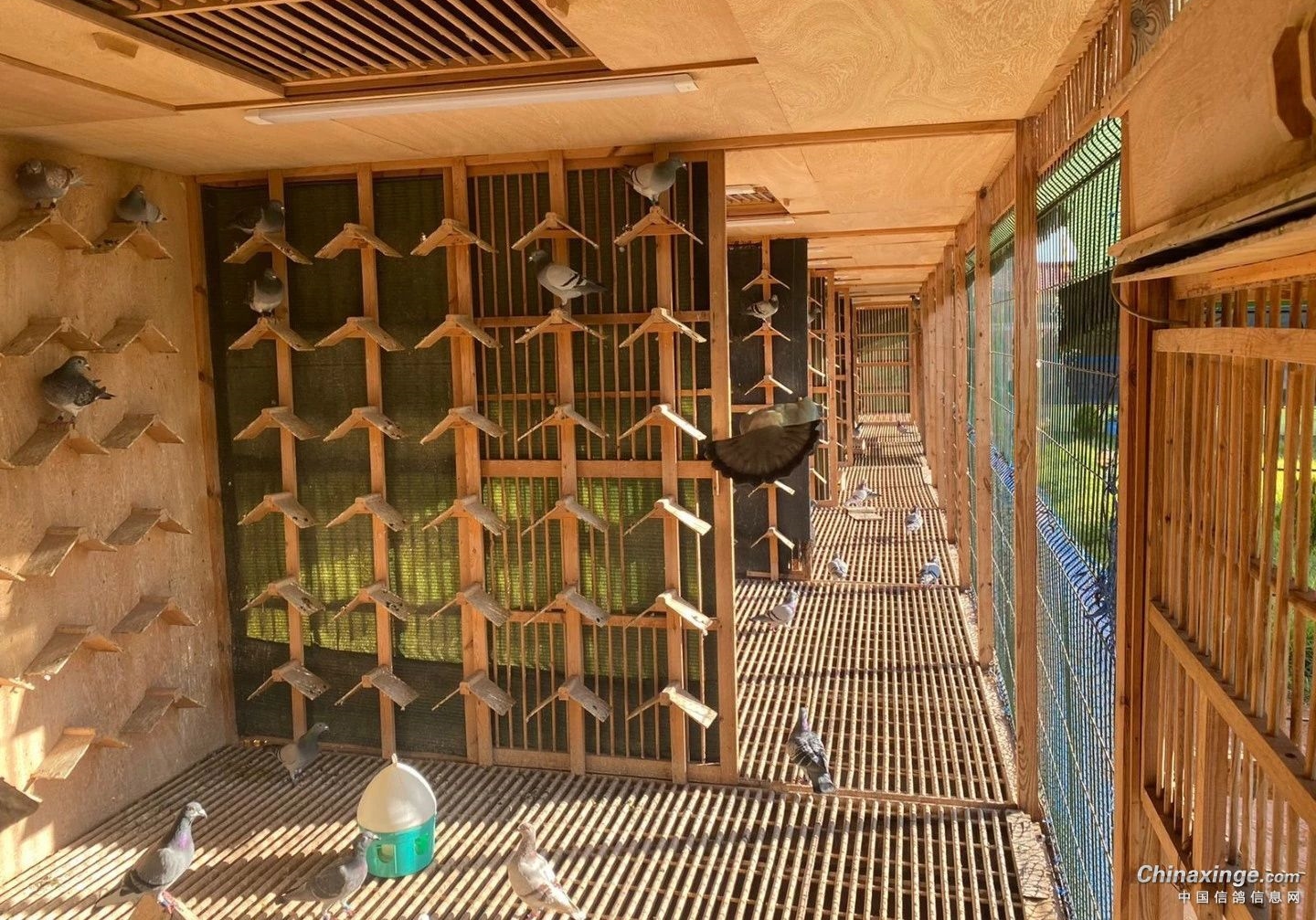 �����߹�����ʣ����ĸ�����ֵ�ù�ע