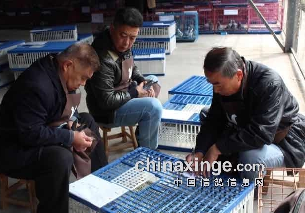 ָ����Ϊʲô��Ҫ��