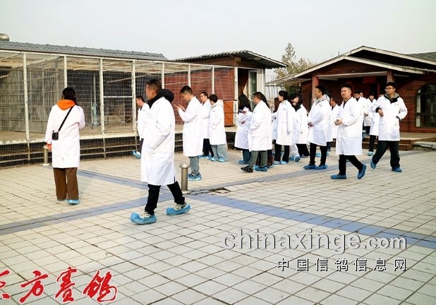 ��������ٰ����뼲����������ʵ����ѵ