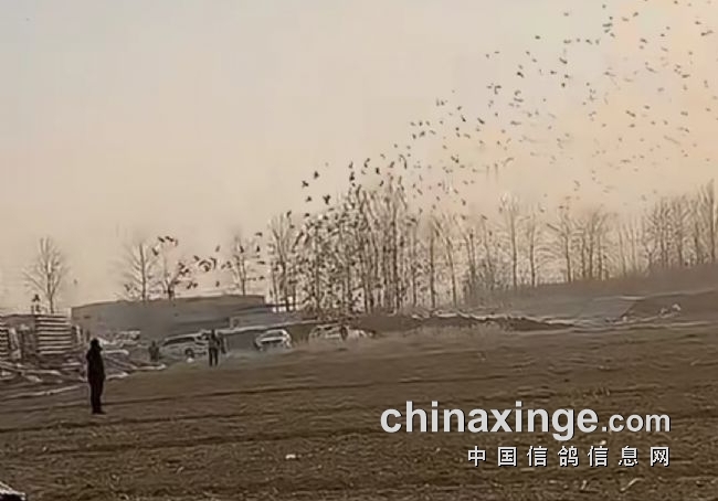 �ھ�����5���� ɽ��̩���շ�վ��ս����