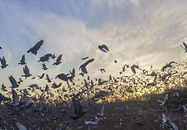 �ھ����� ���������׹�ǰʮ�ѽ���