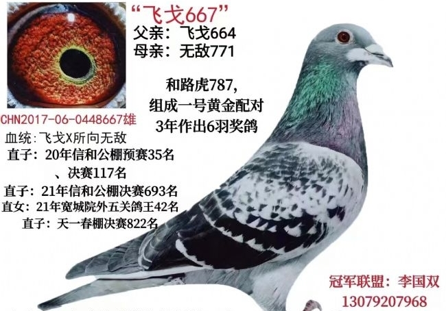 �����ҵĽŲ� �����ָ룡