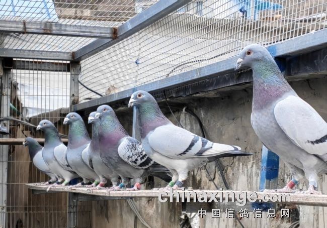 ���ϴ��� �⼸�ָ��Ӳ�������