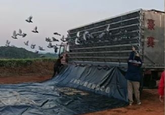 ǰ��������ȣ�������ͥ��ս�����ʷ���