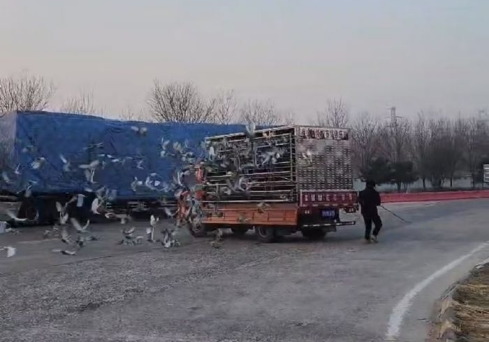 һ�˰���ǰ5�� �����峡�̾������Ұ�