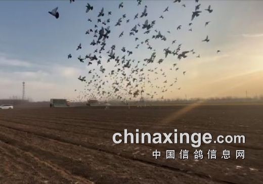 ��߷���1839�����Ĺ�������ս������