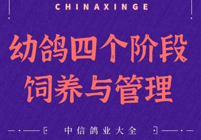 �׸��ĸ��׶����������