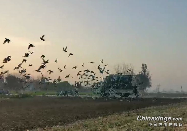 ��߷���1677 �Ĵ��ᴨ԰Ԥ���鳲��