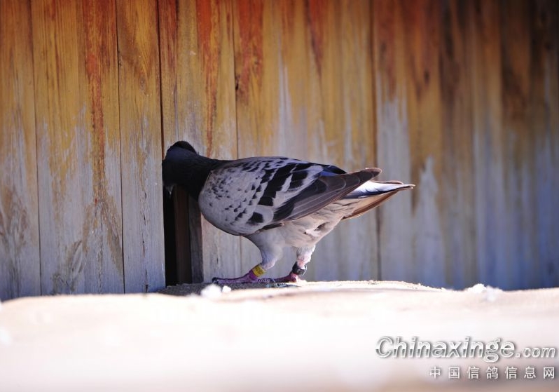 �������ؼ��� ����ͭ�����ء������콵��