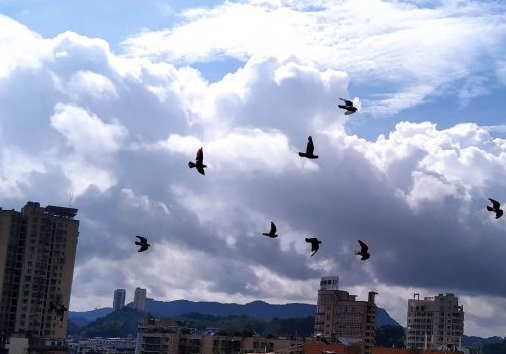 �Ÿ�ҷɲ���ļ��ֿ���