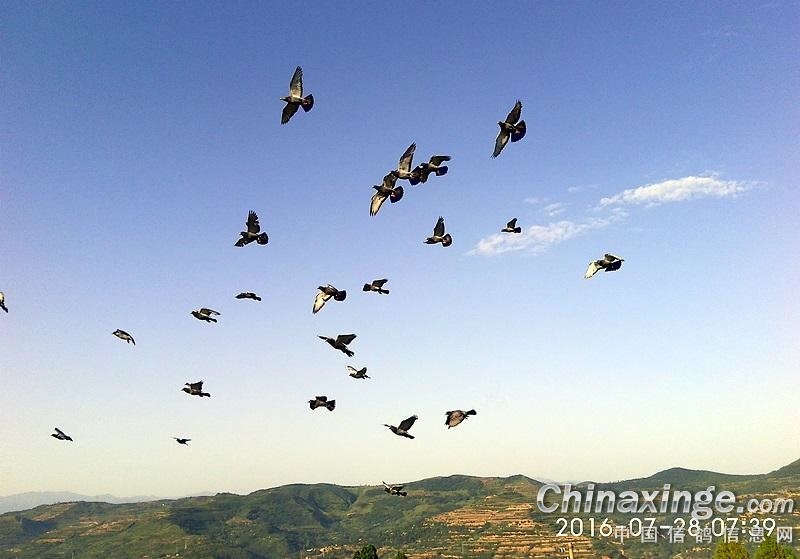 ��Ҿ��ֲ������� ����ٶ������ʷ׳�