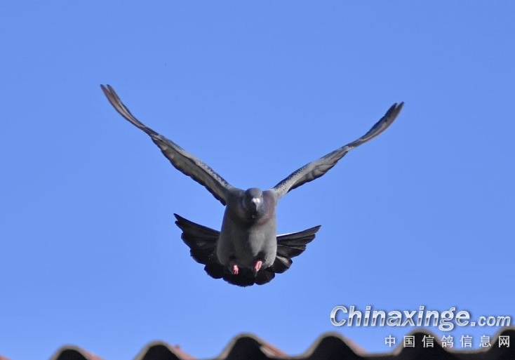 �����ֽ��ݺš���������������ͬ�����У�