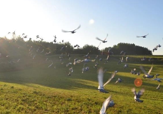 ְҵ������ѵ������ ף�㴺�����������