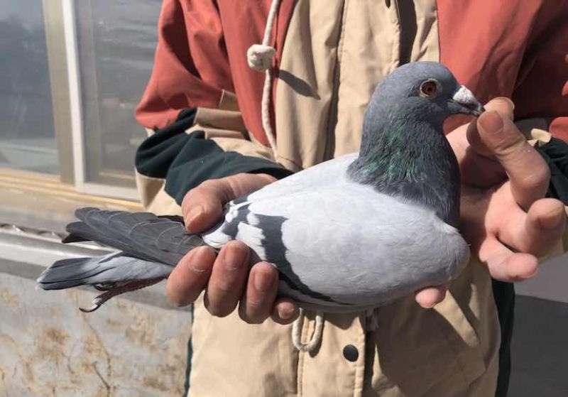 ��ѧ������ƥ��003����������