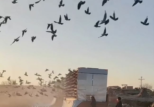 �������۴�� ���Ͻ���Ԥ�����ųɹ�