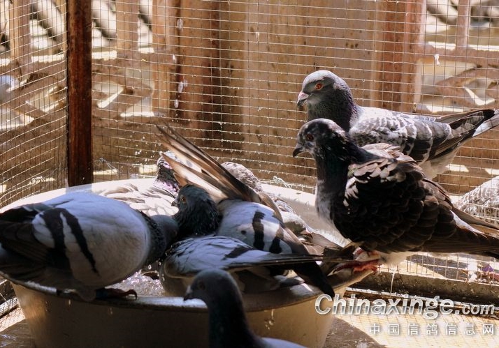 �������룺����Ǳ������ 