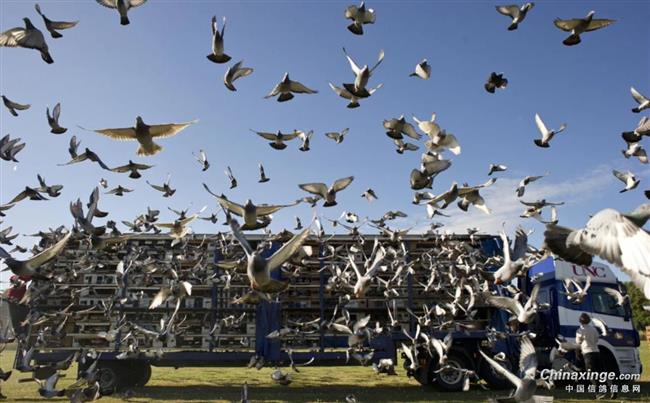 С������¹ؽ���ַ�ת ���޶���������