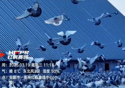 ��������Ｏ����� ɽ�����뽫ӭ�������Ŀռ�