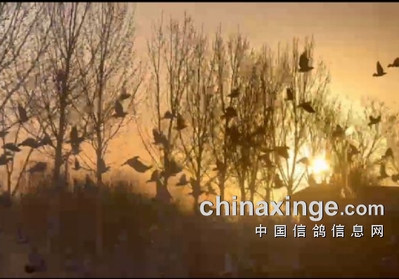 ��̨400���￪�� �����������ȷ�