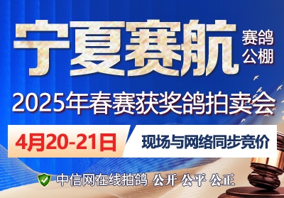 冠军、鸽王拿到手软 来看宁夏赛航的高位奖鸽