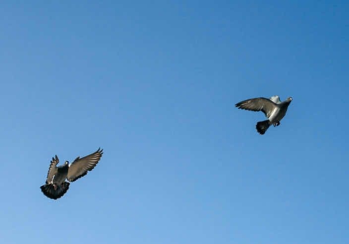 �ҷ�ѵ�� �����������ʤ�ؼ�