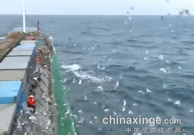 ����400�� ̨�山���Ĺز������ɹ�