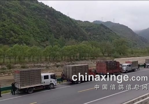 22���복�뷢 �컨�̹�����1.4����ս����