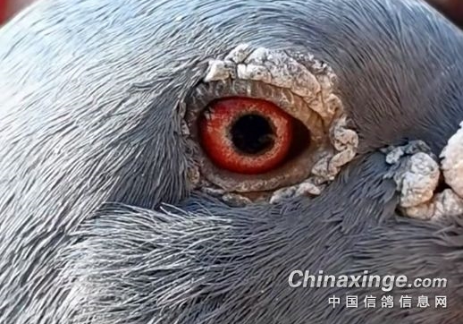 �ھ����ٹ�����Ҳ�ͬ ����δ���Ǻø�